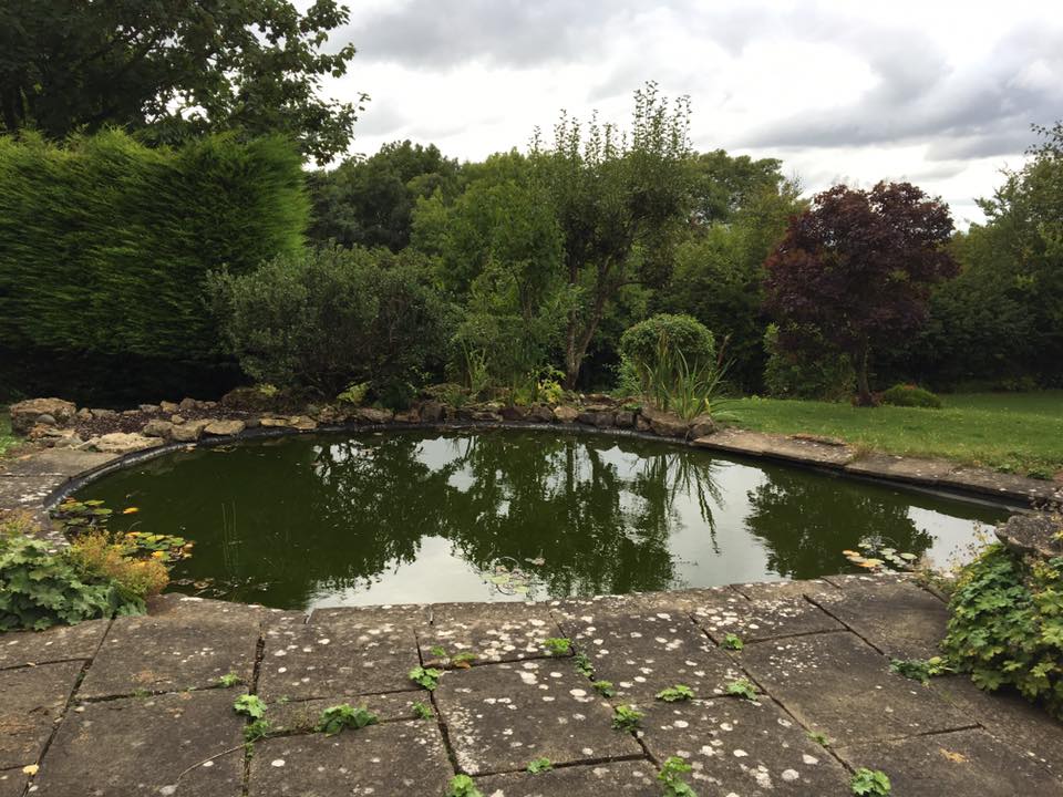 Water Features and Ponds