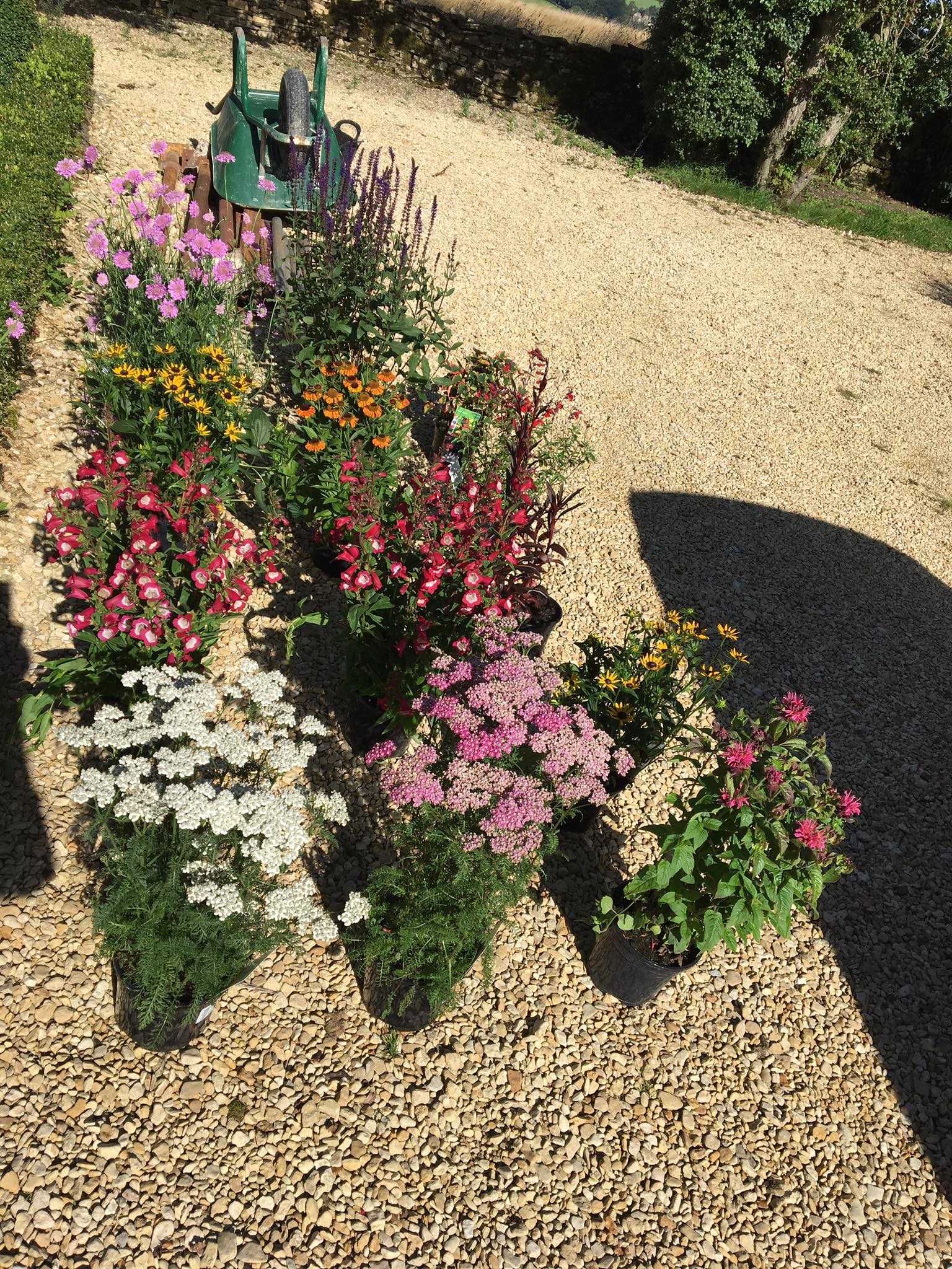 Soft Landscaping Solutions in Cheltenham, Gloucester, Cotswolds