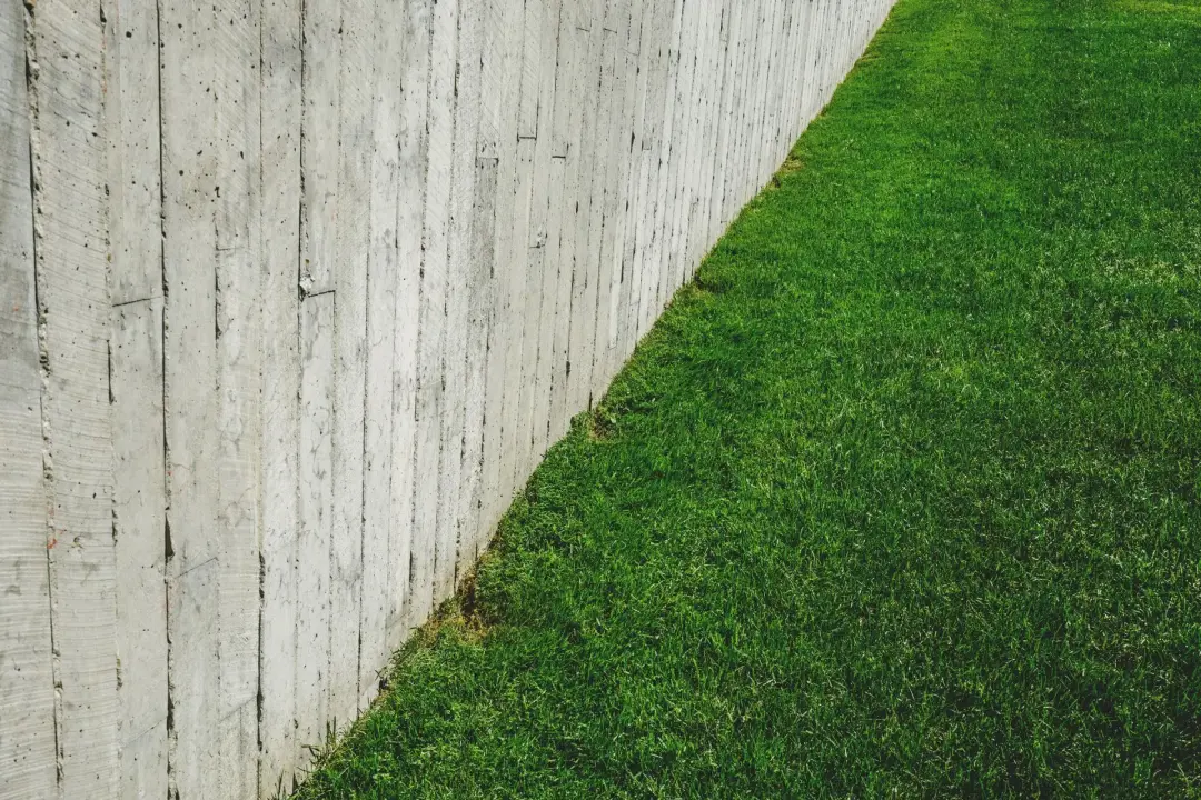 Maintain Clear Edges Around Lawns and Beds