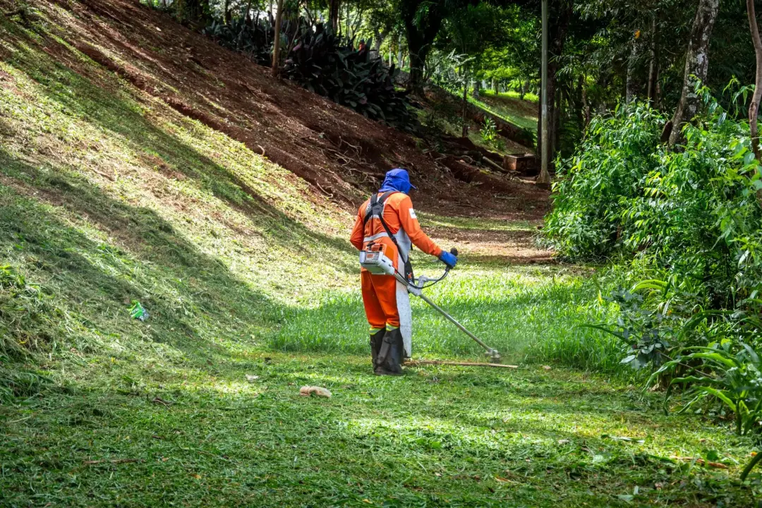Combining Hard and Soft Landscaping