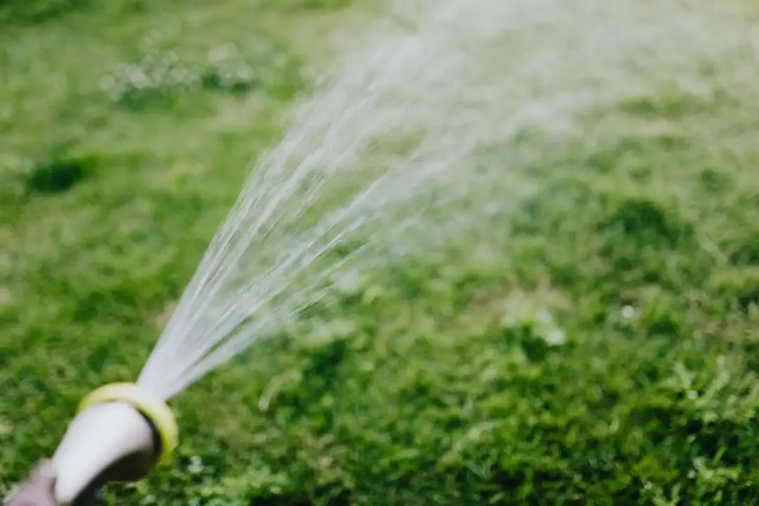 How to Plan a Soft Landscaping Project How to Plan a Soft Landscaping Project Image