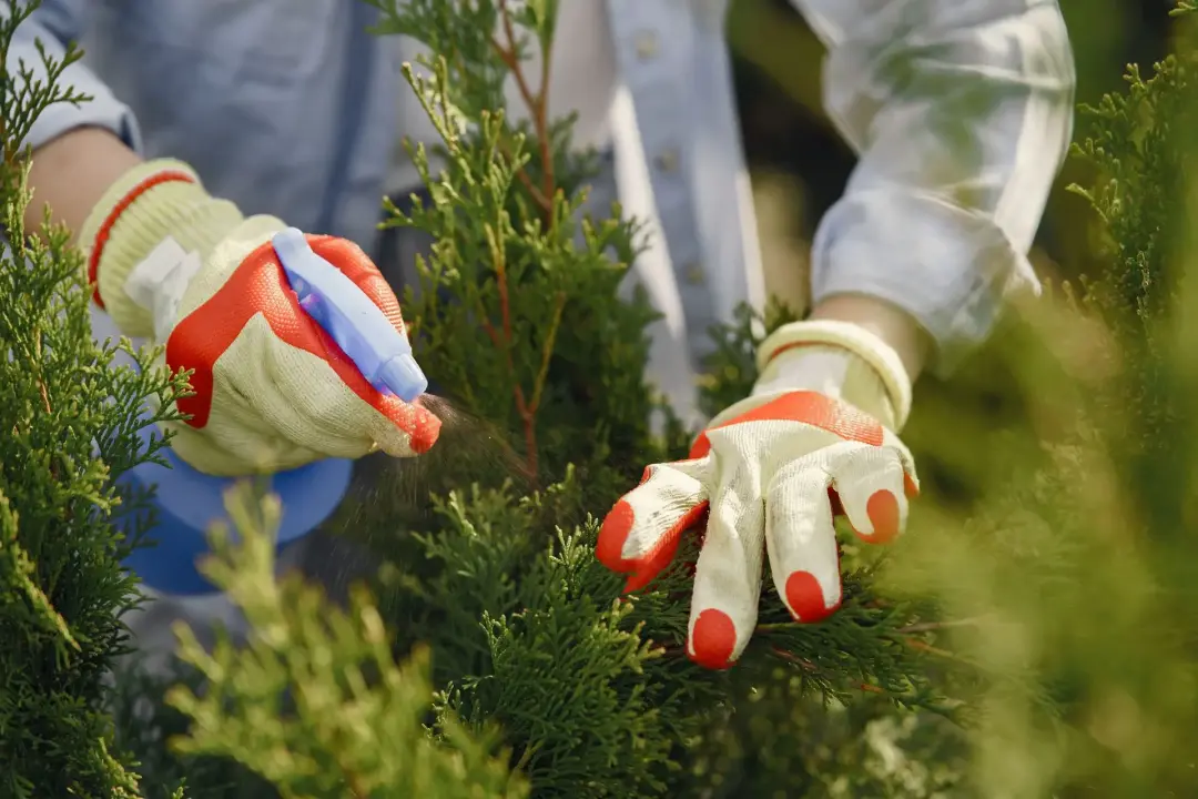 When to Hire a Professional Landscape Gardener