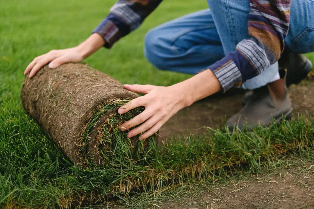 Improving Your Garden with New Turf